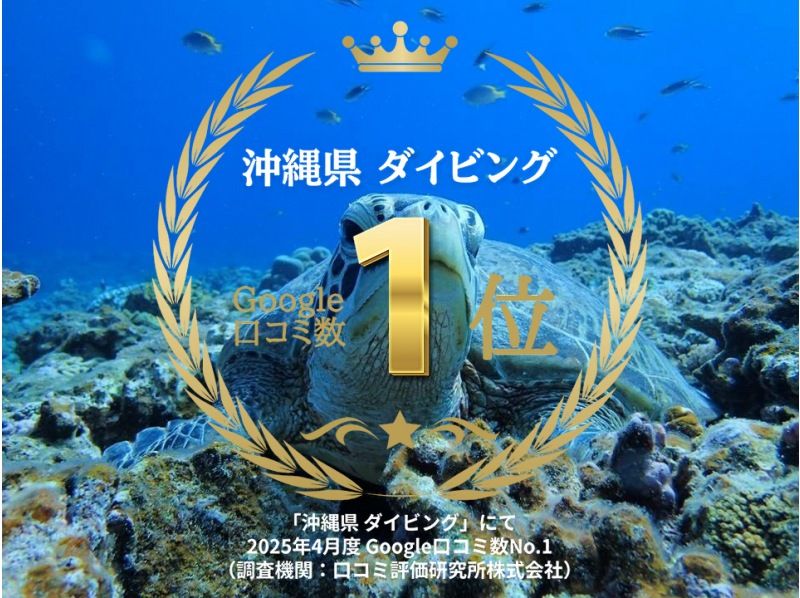 2025年4月度Google口コミ数「沖縄ダイビング」1位！那覇発・半日・慶良間諸島・海ガメに逢える!?カメラレンタル付！体験ダイビング２回の紹介画像