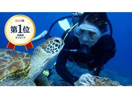 2025年4月度Google口コミ数「沖縄ダイビング」1位！那覇発・半日・慶良間諸島・海ガメに逢える!?カメラレンタル付！体験ダイビング２回の画像