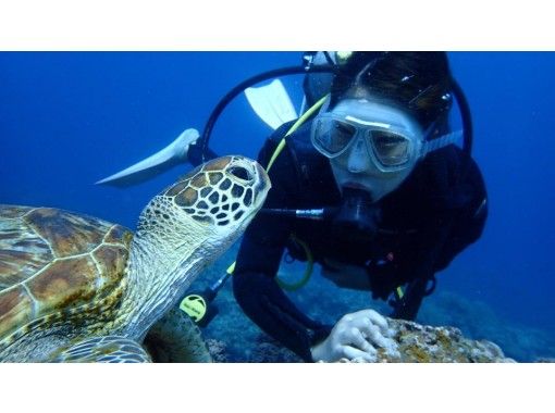 スプリングキャンペーン【那覇発・半日・慶良間諸島】海ガメに逢える!?カメラレンタル付！初心者体験ダイビング（国立指定公園慶良間諸島コース）の画像