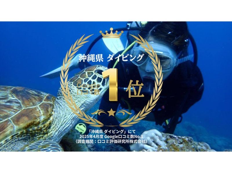 camera Rental free! Bare at the sea turtle! Diving(National designated park Kerama Islands course)の紹介画像