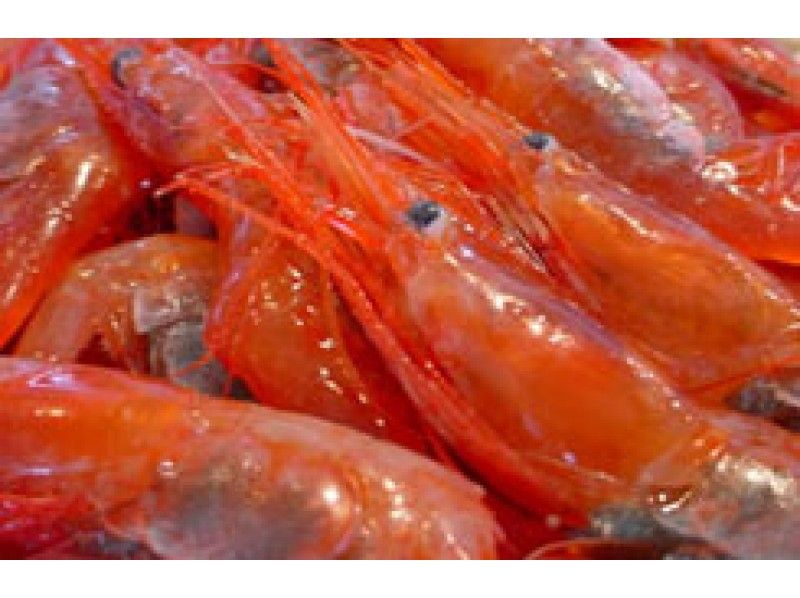 【北海道・札幌発着】増毛春の味まつり2019！ー地酒に甘エビ、タコ、ホタテー人気のお祭りライナー