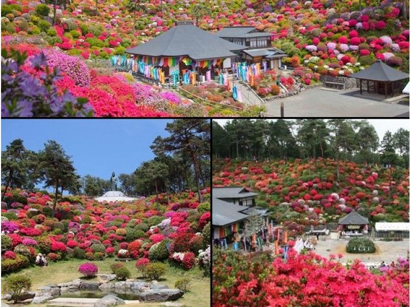 塩船観音寺”本尊千手観音”御開帳とつつじ祭り&約20000株のネモフィラ観賞バスツアー【14139】
