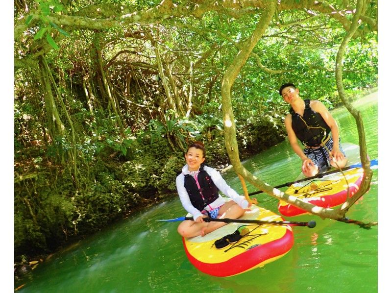 [Ishigaki Island / Charter] 1 group complete charter guarantee! Adventure in the mangrove forest with SUP! Depart for a jungle cruise! !!の紹介画像