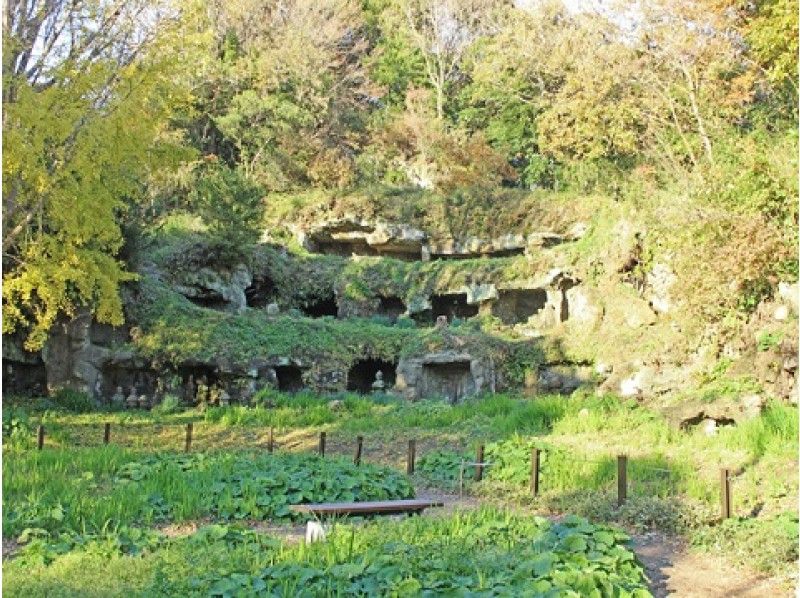 鎌倉最奥地の秘境へ！「まんだら堂やぐら群」と鎌倉・初夏の花寺を訪ねる【14126】