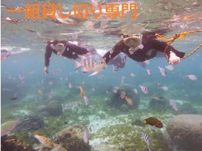 【2時間一組貸切☆ 快適性重視！☆専用温水シャワー・更衣室・送迎有 5歳・2名様～】通年開催貸し切りシュノーケリング＠糸満