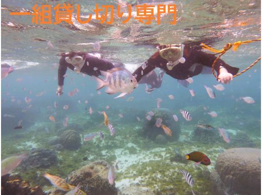 【2時間一組貸切☆ 快適性重視！☆専用温水シャワー・更衣室・送迎有 5歳・2名様～】通年開催貸し切りシュノーケリング＠糸満の画像