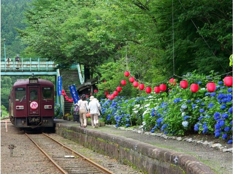 わたらせ渓谷鐡道トロッコ列車で行くあじさい鑑賞&「足尾銅山観光」見学日帰りバスツアー【14261】