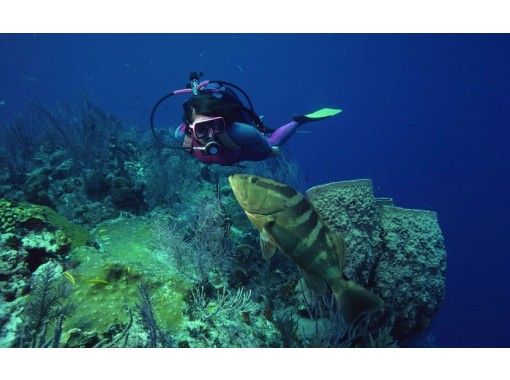 [Okinawa / Motobu area] VIP Private PADI Advanced Open Water Diver Course 2 daysの画像