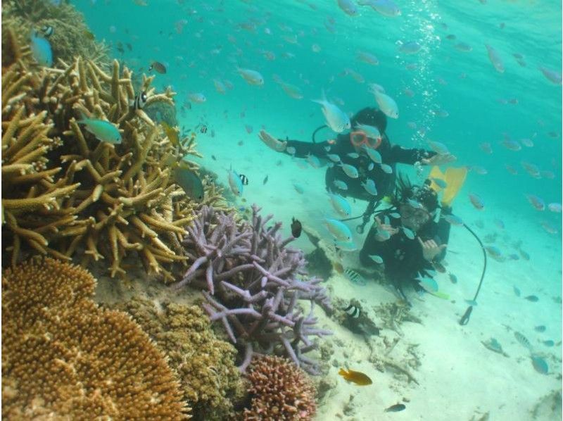 【沖縄・石垣島】シュノーケリング半日体験プラン（午前・午後）