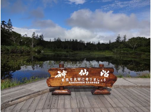 【北海道・ニセコハイキング】プライベートツアー！「神仙沼」・「鏡沼」・「半月湖」で自然散策の画像