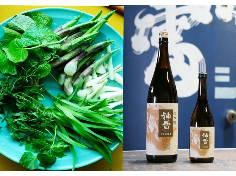 【広島・神石高原】山菜・野草採り&酒蔵 ほろ酔い街歩きツアー ~春の最高のごち草を召し上がれ!~