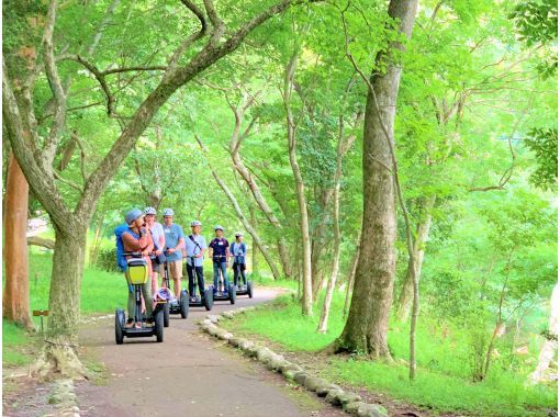 【神奈川・箱根・九頭龍の森】箱根芦ノ湖セグウェイツアー・鎮守の森で湖を眺めすすむ自然体験♪（2時間30分）の画像