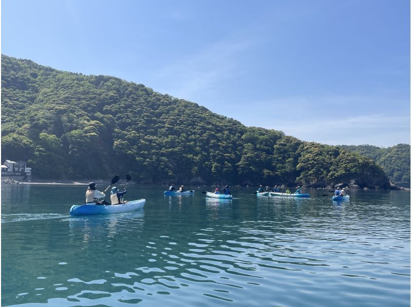 [Fukui/Wakasa] "Fresh Green Kayak" Kayak tour in Wakasa Bay ☆ Beginners and experienced people are welcome! 3 hours of fun! !の紹介画像
