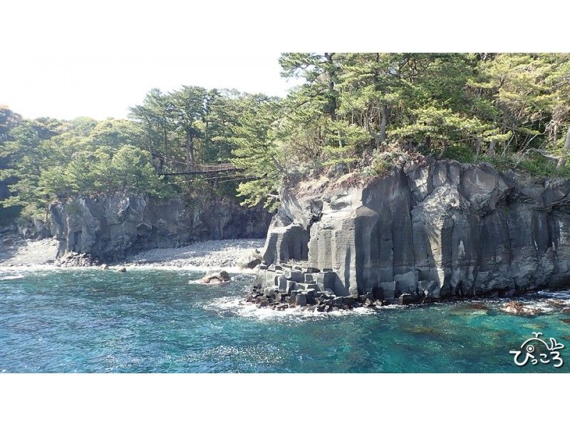 伊豆・城ケ崎海岸ジオウォーキング