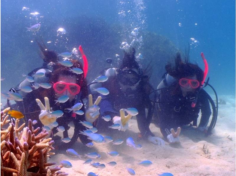 【沖縄・石垣島】1日コース★幻の島&体験ダイビング&シュノーケリング★少人数制★ツアー写真プレゼント