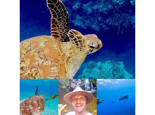 Kagoshima / Amami Oshima] [World Natural Heritage / Amami