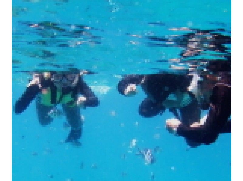 アプリシエイト ピアスの割引プラン