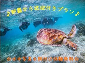 ☆ウミガメ遭遇高確率☆【★車がなくても安心♪送迎付】シュノーケルトロピカル探検コース★写真撮影＆餌付け付