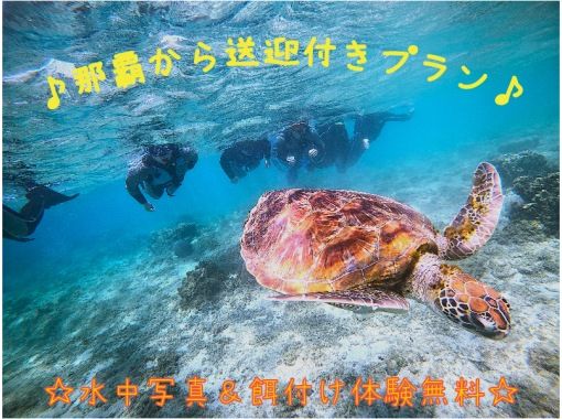 ☆ウミガメ遭遇高確率☆【★車がなくても安心♪送迎付】シュノーケルトロピカル探検コース★写真撮影＆餌付け付の画像