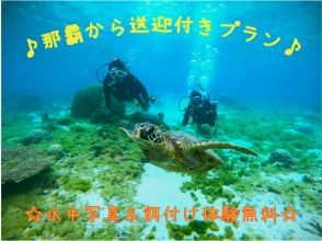 【★うれしいホテル送迎付き★】ウミガメ遭遇高確率！体験ダイビング・トロピカル探検コース★写真撮影＆餌付！