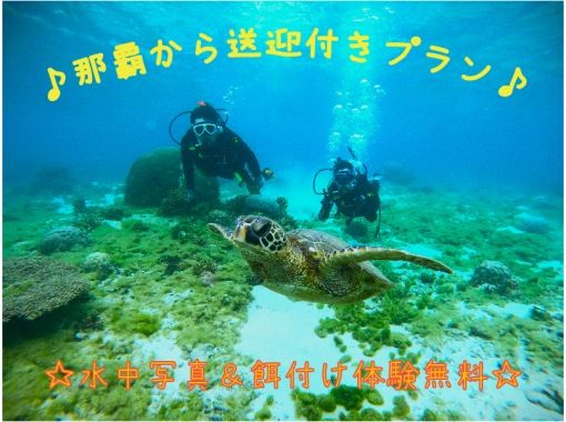 【★うれしいホテル送迎付き★】ウミガメ遭遇高確率！体験ダイビング・トロピカル探検コース★写真撮影＆餌付！の画像