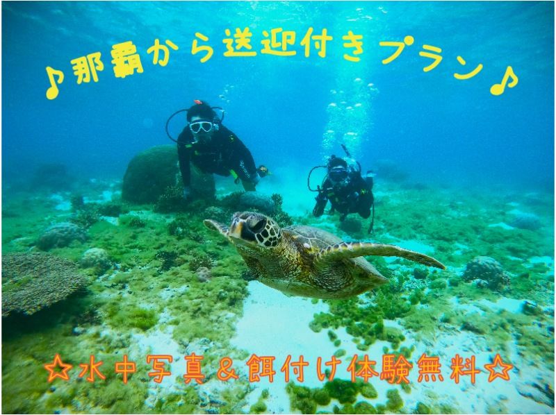 【★うれしいホテル送迎付き★】ウミガメ遭遇高確率！体験ダイビング・トロピカル探検コース★写真撮影＆餌付！の紹介画像