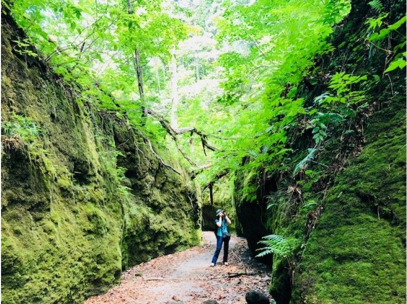 【北海道・支笏湖】幻想的な緑の世界!苔の回路・楓沢トレッキング~自然の中でランチタイム♪