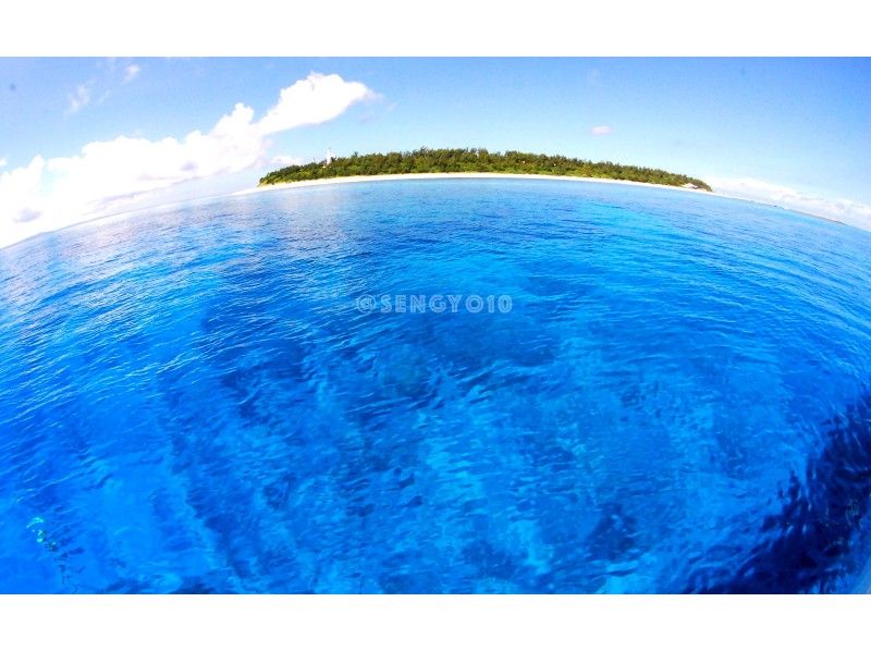 半日プラン【瀬底島＆水納島近海】ボートに乗って素潜り！2スキンダイブ付きで大満足