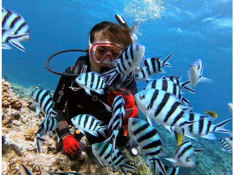 People enjoying a snorkeling experience on Nagannu Island