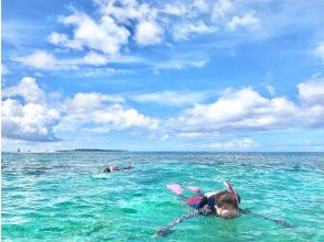 [Okinawa / Iriomote Island] Limited time offer (April-October) If you come to Iriomote Island, I want to go there once! Pinaisara Falls & Barasu Island Snorkeling Tour