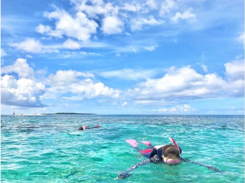 [Okinawa / Iriomote Island] Limited time offer (April-October) If you come to Iriomote Island, I want to go there once! Pinaisara Falls & Barasu Island Snorkeling Tourの紹介画像