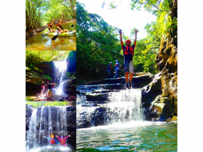 [World Heritage Site Iriomote Island] Omija Falls! Waterfall diving! Mangrove canoeing & canyoning [Free tour photo gift]