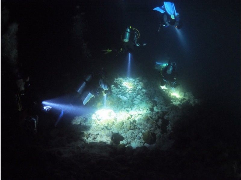 沖縄アクアマリンの割引プラン