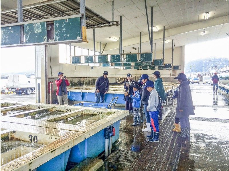 【熊本・天草】天草の魚に会いに行こう！ぎょぎょっと！天草うお市場探検！
