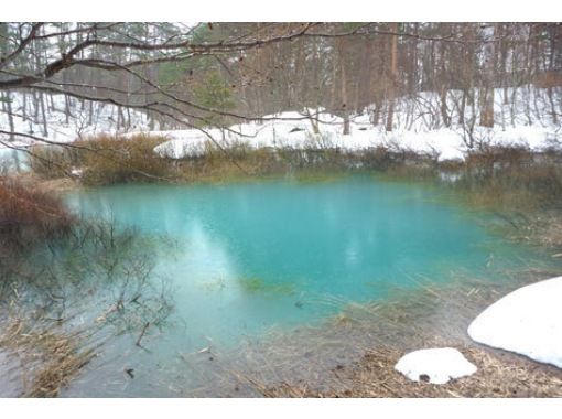 [福島/裡盤台] * 早上實施空手♪ Goshikinuma 雪鞋行走在神秘的森林中の画像