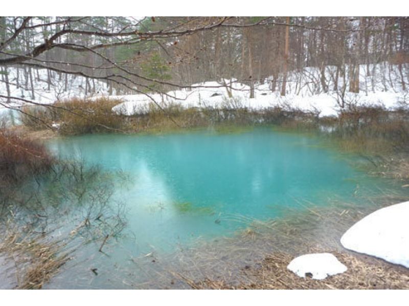 【福島・裏磐梯】※午前実施 手ぶらでOK♪ 神秘の森を歩く五色沼スノーシューの紹介画像