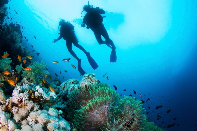 What is snorkeling? Recommended for those who cannot swim! Thorough explanation of the differences from clothes, tools and diving!