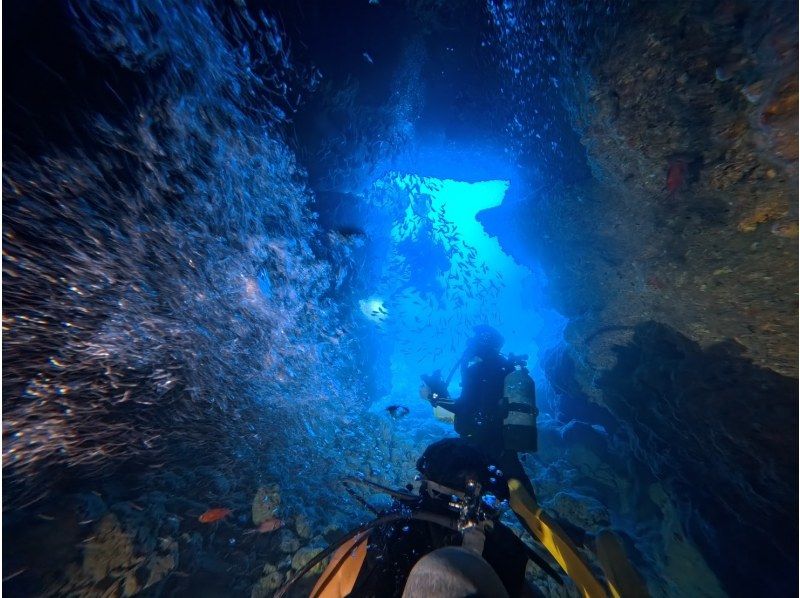 【那覇発・万座2ボート】那覇市内ホテル送迎付き☆2名以上参加で2DIVE17000円☆ボートFUNダイビング２本☆の紹介画像
