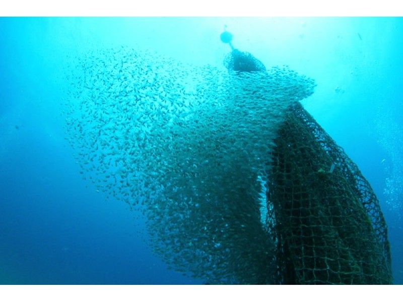 ボートファンダイビング【浦添・宜野湾】那覇近郊ホテルから送迎付き