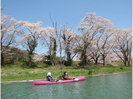 【秩父 長瀞周辺／埼玉 群馬／関東】4才〜初めてOK！カヌー カヤック体験　春はお花見☆新緑、秋は紅葉★＆冬桜　東京都心から日帰りも◎の画像