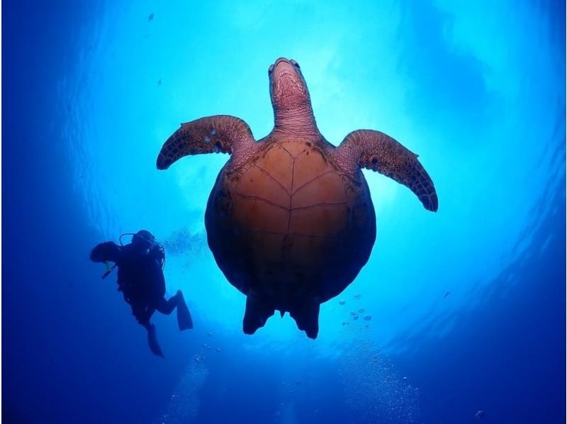 【北海道・SUP体験】透明度の高い支笏湖の湖面をクルージング！SUP体験（半日コース）の画像