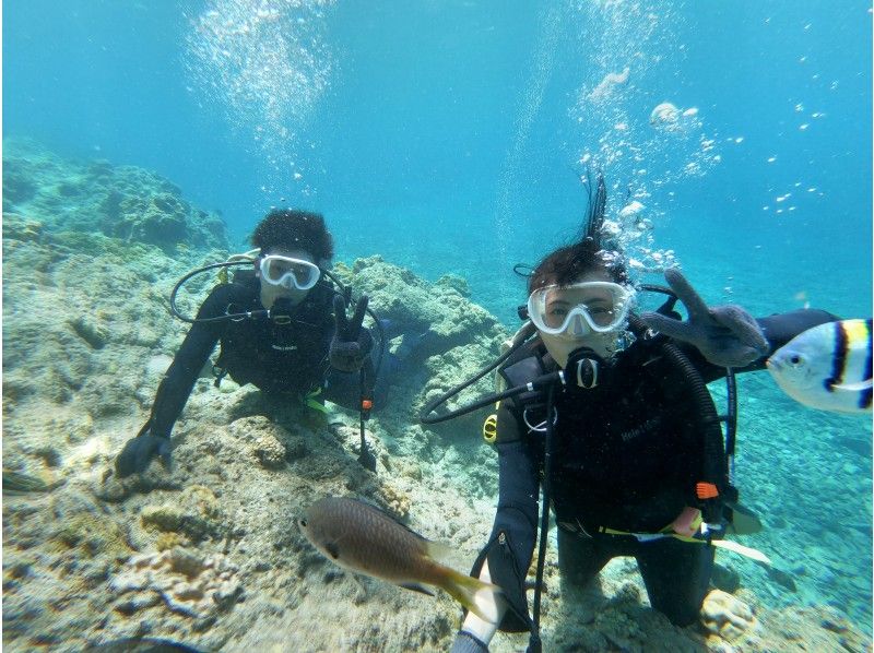 【沖縄・水納島・瀬底島】北部の海で楽しもう☆ボート体験ダイビング♪