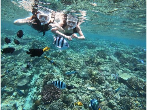 沖縄 水納島 瀬底島 満足度100 ボートシュノーケル 体験ダイビングのセットコース 半日プラン アクティビティジャパン