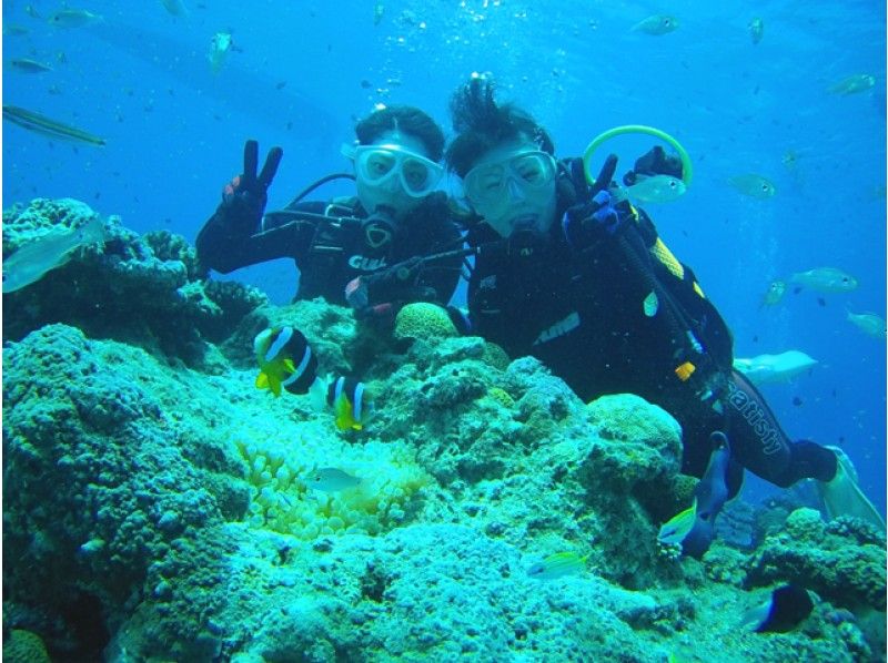 [Kagoshima ・ Amami Oshima] Experience Diving(4 people more Book in Sale plan)の紹介画像