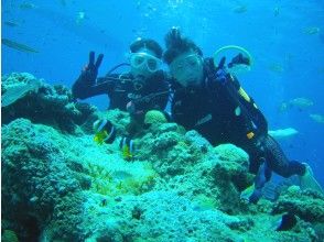 Amami Oshima Diving Endless Blue