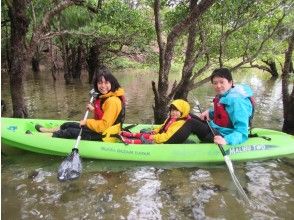 屋我地島　マングローブカヤック