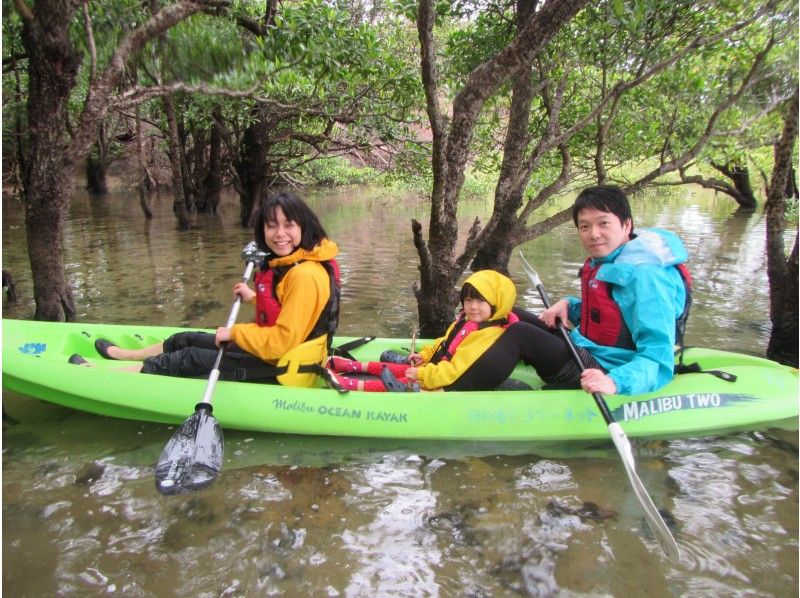 Yagaji島紅樹林和海上皮划艇の紹介画像