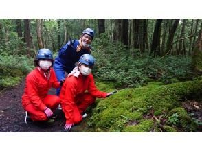 [地区优惠券可用计划] [山梨县探洞]初夏之旅·神秘的森林·青木原树海步行和熔岩洞探险之旅