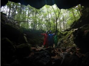 [山梨县/洞穴探险]青木原树海森林漫步和熔岩洞穴探索之旅の画像