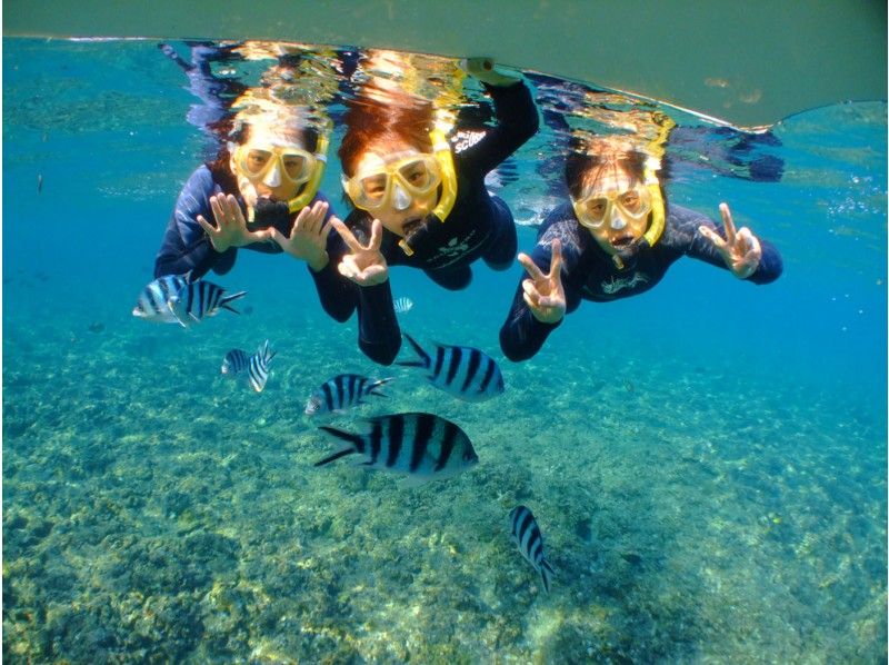 【ดำน้ำดูปะการัง Experience ประสบการณ์ลึกลับ! ทัวร์ดำน้ำตื้นถ้ำสีฟ้า※ลดราคาเว็บ / 2 คน ~ ※の紹介画像